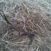 ...a ešte jeden, aj keď minuloročný