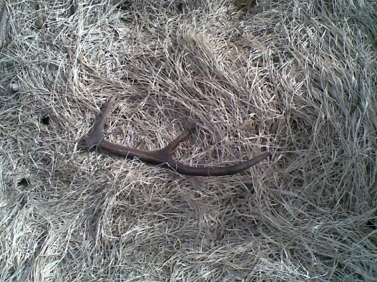 tento maličký minuloročák je môj