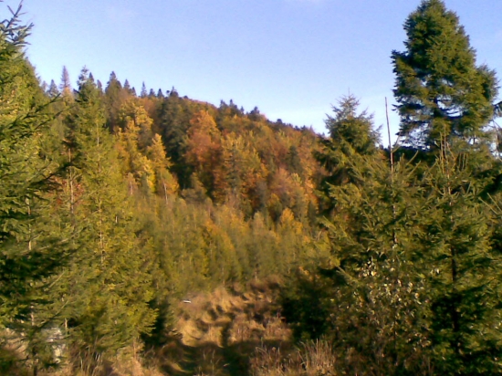 spomienka na október 2010
