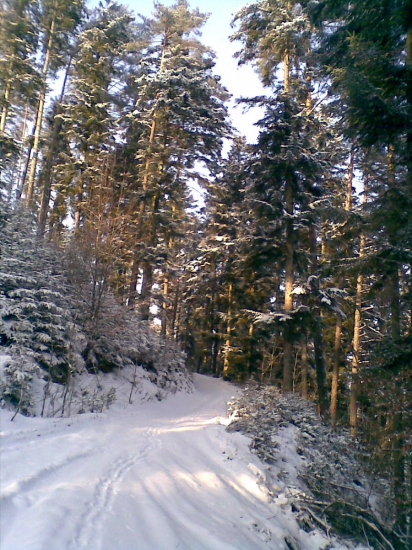 Decembrová krajina