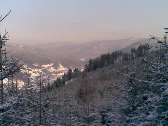 Zasnežená mladina