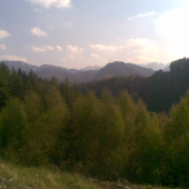 príroda v máji