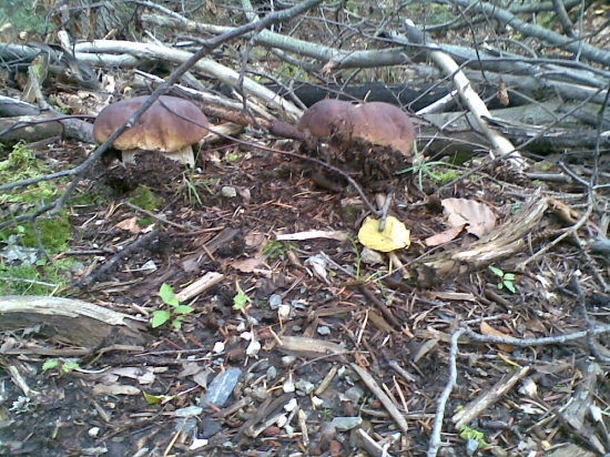 minuloročné potešenie