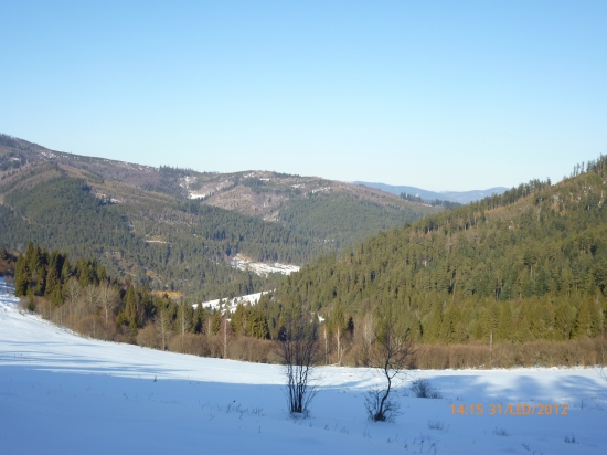 Príroda v zime.