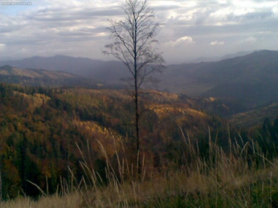prišla jeseň