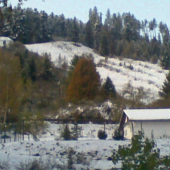 Zasnežený výhľad z okna