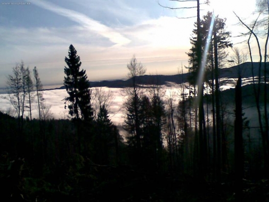 Ránko