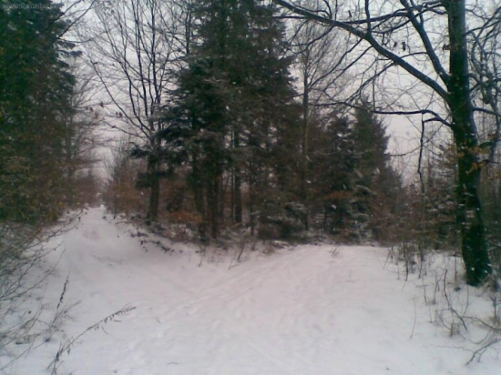 Ktorá z nich je tá pravá?