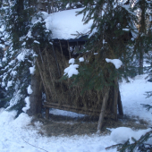 Chutí im aj voňavé seno