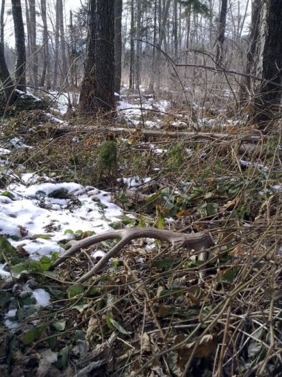 Až mi srdce podskočilo...