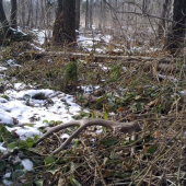 Až mi srdce podskočilo...