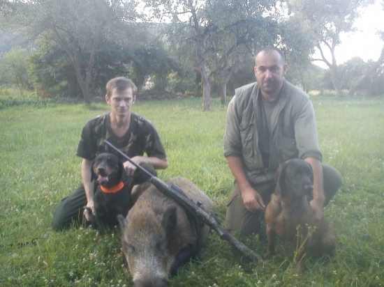 Úspešná dohľadávka