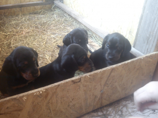 Prvý vrh spod Feľaty