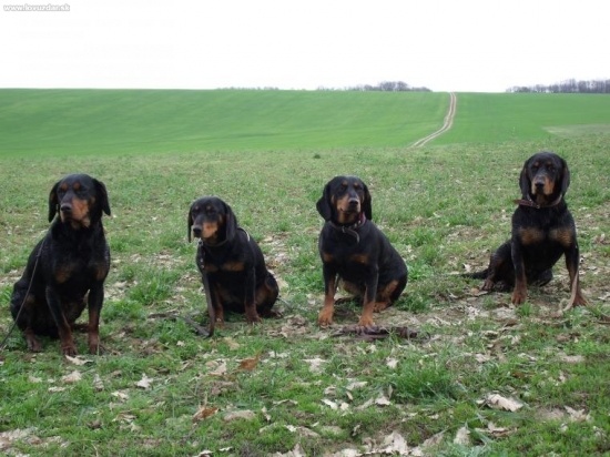 Bea,Zora,Bystra,Axa,