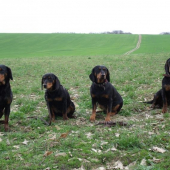 Bea,Zora,Bystra,Axa,