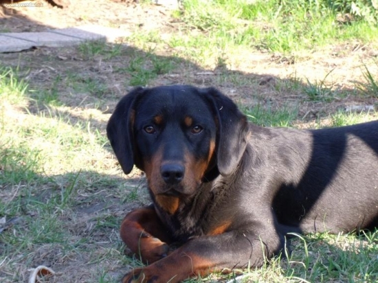 Baron z Evkinho dvora