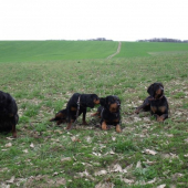 Zora,Bystra,Bea,Axa
