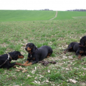 Bystra,Bea,Axa