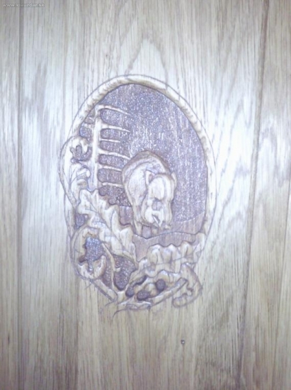 diviak-prvotina amatera