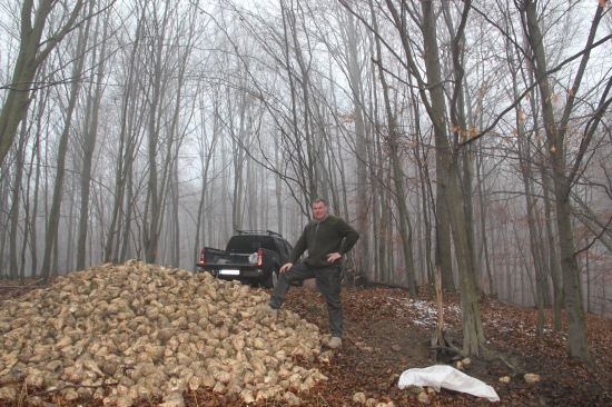 Duchonka PZ Bukovinka