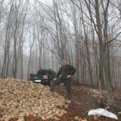 Duchonka PZ Bukovinka