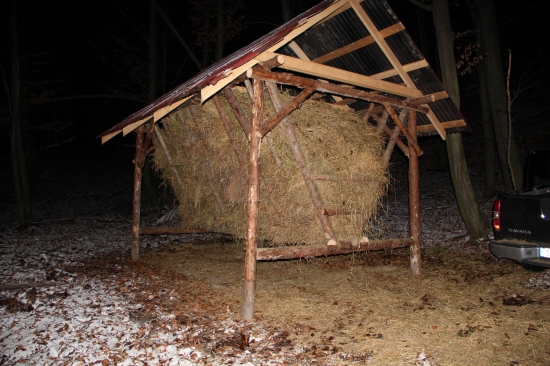 Duchonka PZ Bukovinka