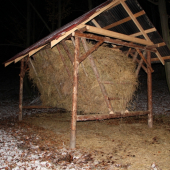 Duchonka PZ Bukovinka