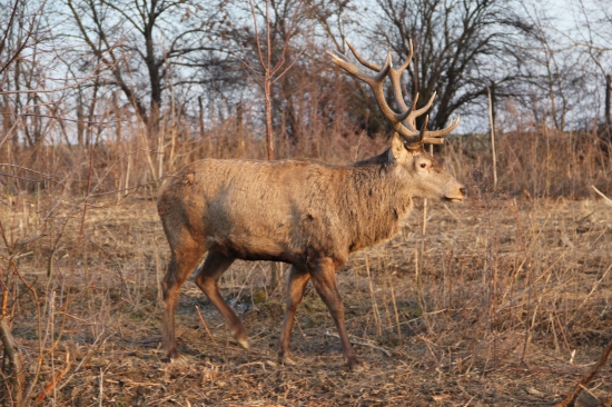 posledne foto ZOFREJA