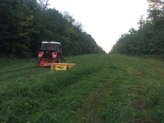 kosenie lucerky mocensky haj