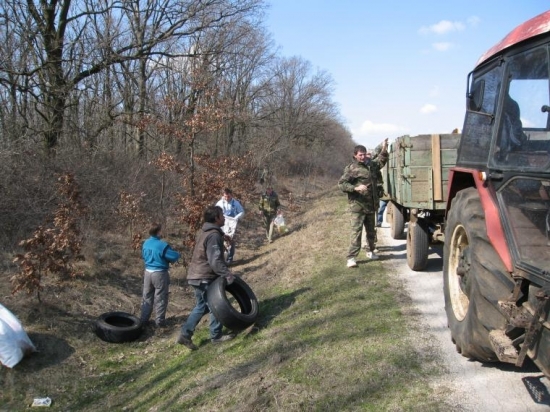 Jarne upratovanie lesa
