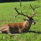 ZOFREJ