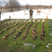 POLOVACKA PS MOCENSKY HAJ 2010