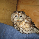 PREKVAPENIE V POSEDE