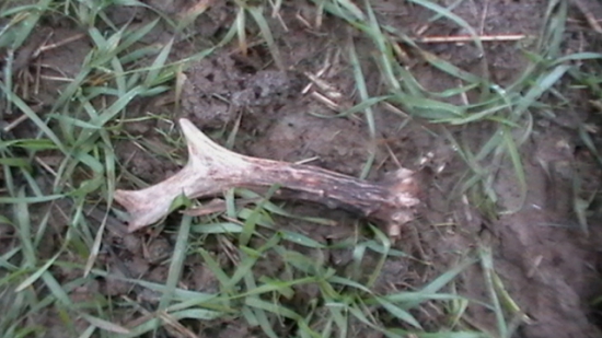 náhoda alebo šťastie