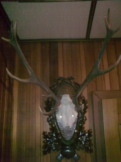 nepravidelný 14-torák