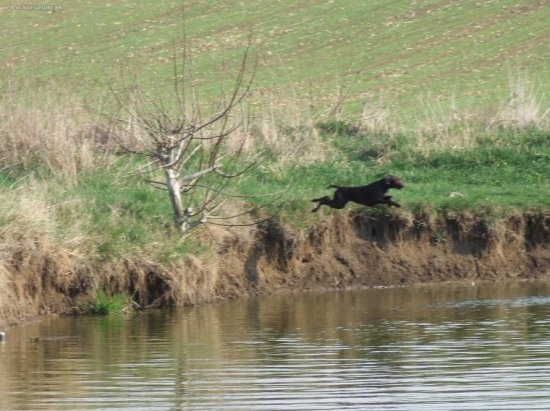 Skok do vody, Edda Špalíček - Gordie miluje vodu