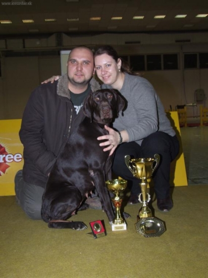 Nitracanis-Edda Špalíček-CAC,CACIB,BOB, 3.m. v VII. skupine