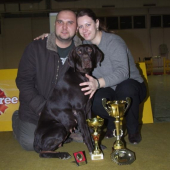 Nitracanis-Edda Špalíček-CAC,CACIB,BOB, 3.m. v VII. skupine