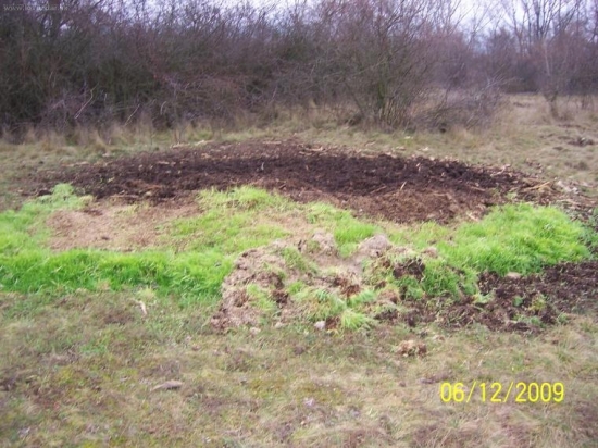 rozhrabana navnada na diviaky