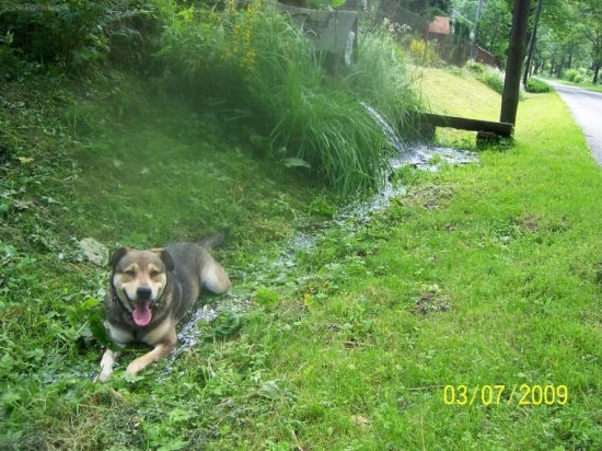 musim si ochladit gulky