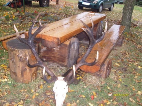 Jeleň vek 13rok. 208,50 bodov pravidelný dvanáctorák.