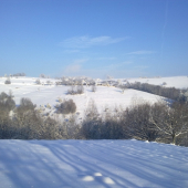 Brestina moje rodisko