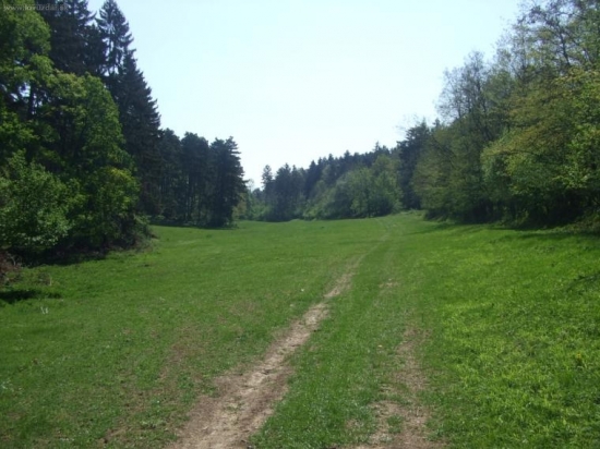 Lúčka