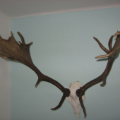 SANITARNI ODSTREL 180,2 CIC