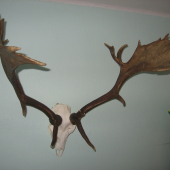 SANITARNI ODSTREL 180,2 CIC