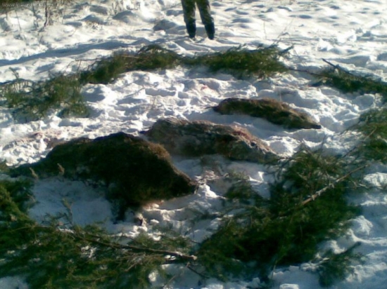 spoločna polovačka-vyrad