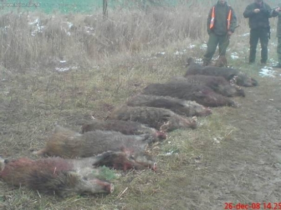 spoločna polovačka-vyrad