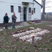 hostovačka na drobnú