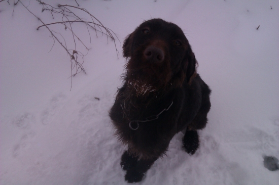 Navzdy bude v nasich srdciach!!!