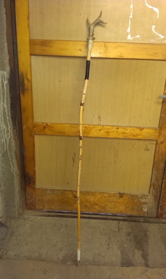 Moja prva strelecka palica...